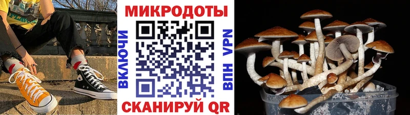 Галлюциногенные грибы Psilocybine cubensis Отрадное