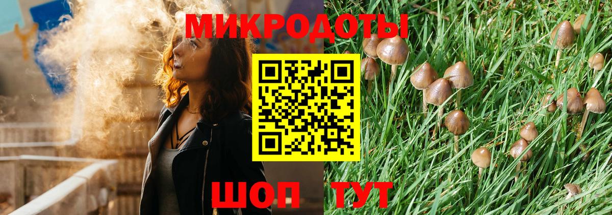 Псилоцибиновые грибы MAGIC MUSHROOMS  Вход с VPN  Отрадное  Псилоцибиновые грибы мухоморы 