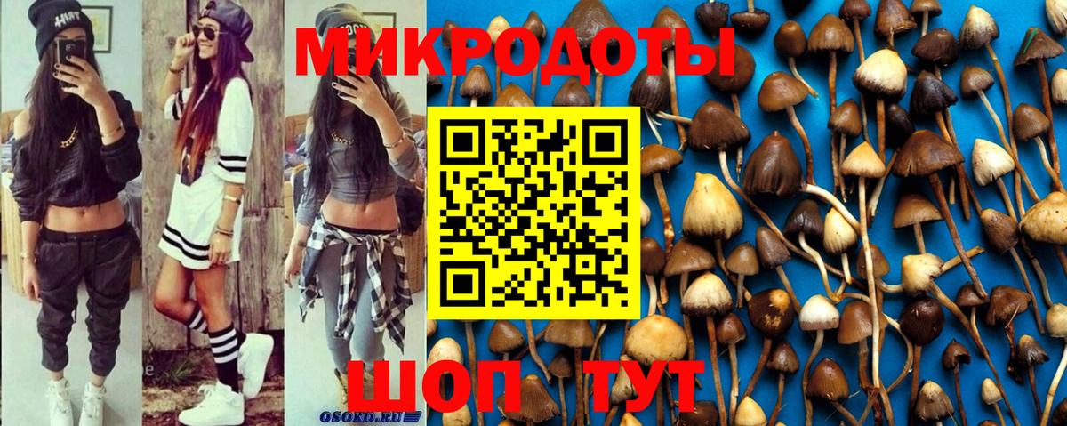 Псилоцибиновые грибы мицелий Отрадное